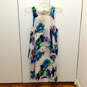 Zara inspired Philosophy floral sleeveless dress